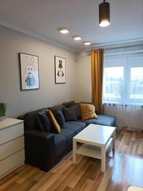 קילצה Family & Business Elegant Apartments Rynek Centrum Downtown - 2 Bedroom, Balcony, Parking מראה חיצוני תמונה